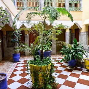 Faouzi Marrakesh